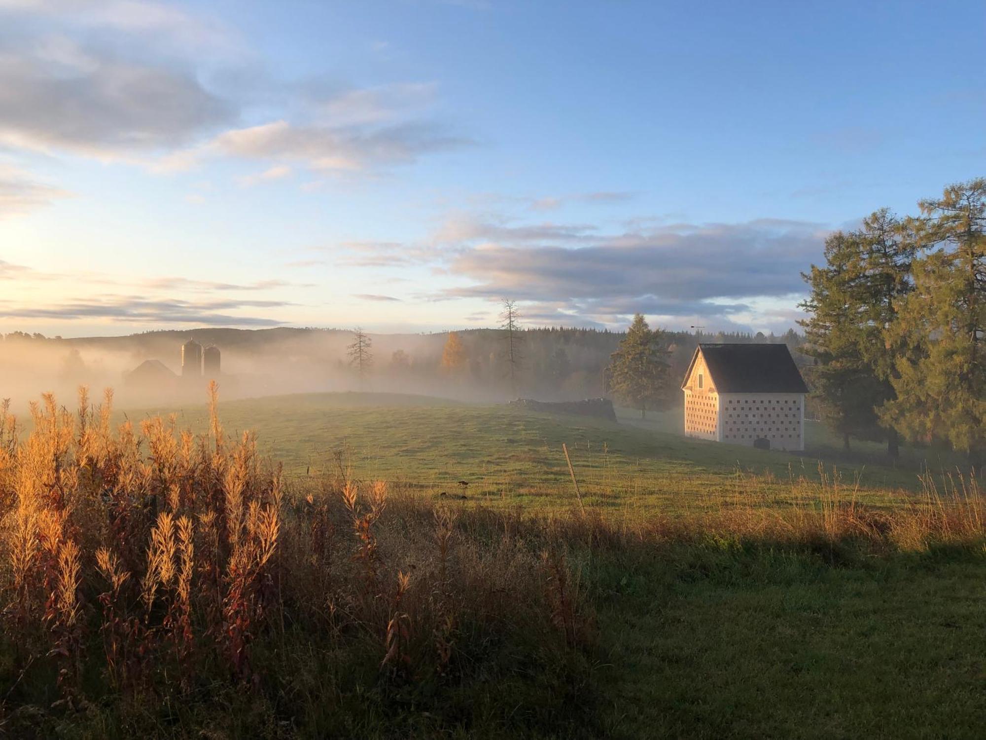 Professorsvillan - Hyr Hela Huset Malingsbo Exterior foto